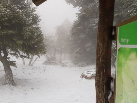 To έστρωσε στην Πάρνηθα – Στους -4 η θερμοκρασία [Βίντεο]