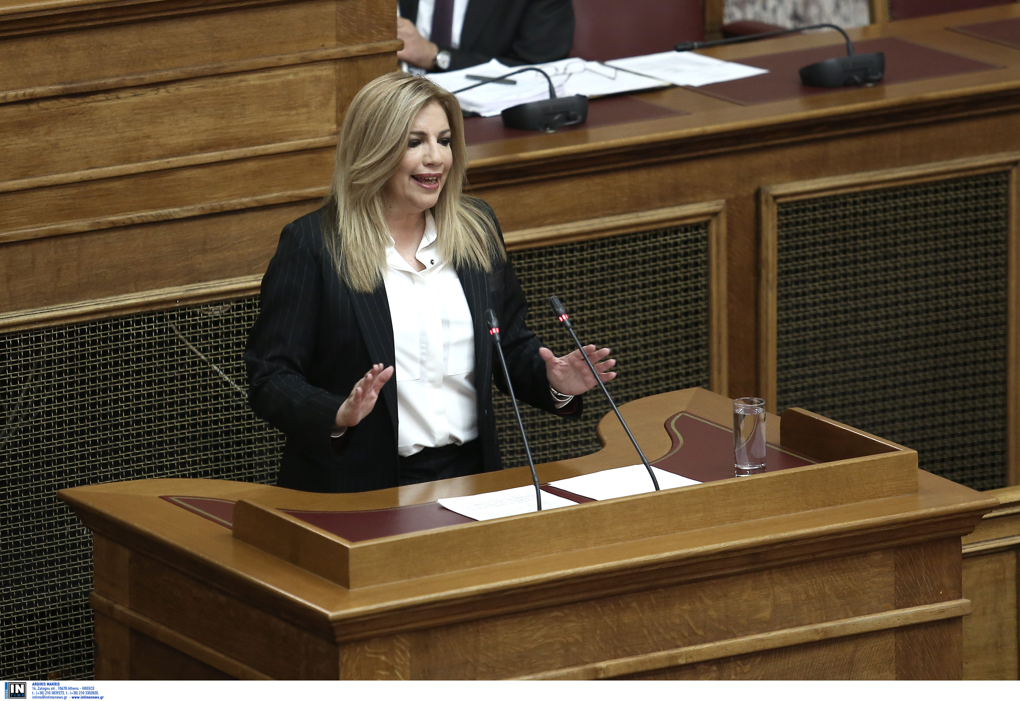 Φώφη Γεννηματά: Να απορριφθούν οι προτάσεις Νίμιτς για το Μακεδονικό