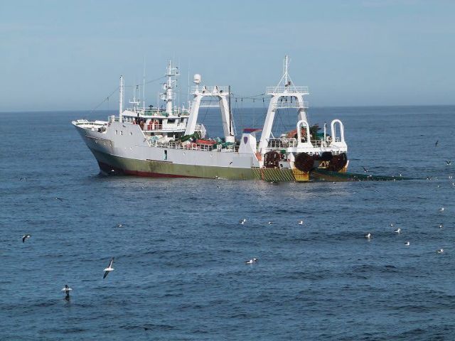 Εκτεθειμένοι στην επαγγελματική αλιεία πάνω από το ήμισυ των ωκεανών