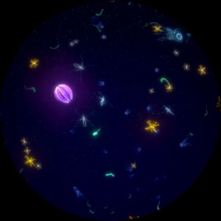 Η «Ζωή στο Σύμπαν» στο Ψηφιακό Πλανητάριο του Ιδρύματος Ευγενίδου