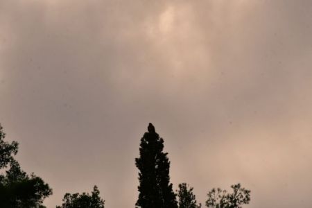 «Σαχάρα» η Κύπρος : Η αφρικανική σκόνη καλύπτει το νησί