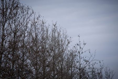 Άστατος καιρός με τοπικές βροχές και και αφρικανική σκόνη