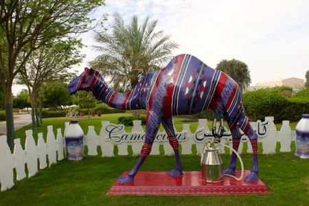 Camelicious: Το πρώτο βρεφικό γάλα σε σκόνη από γάλα καμήλας