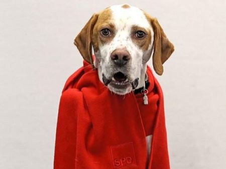 Το μέλος του SPD που δεν μπορεί να ψηφίσει για συγκρότηση κυβέρνησης