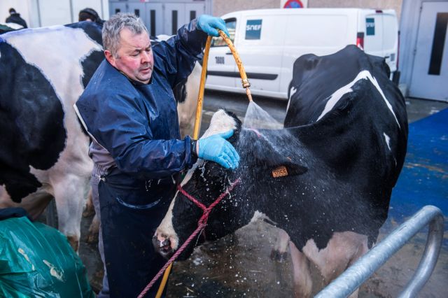 Το αργεντίνικο βοδινό απειλεί τους ευρωπαίους εκτροφείς