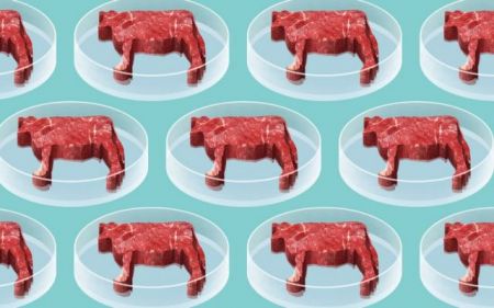 Τα μπιφτέκια εργαστηρίου σύντομα στα πιάτα μας