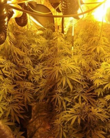 Εξάρθρωση σπείρας που ανατίναζε ΑΤΜ