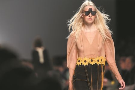 Αλεπούδες στην Αθήνα