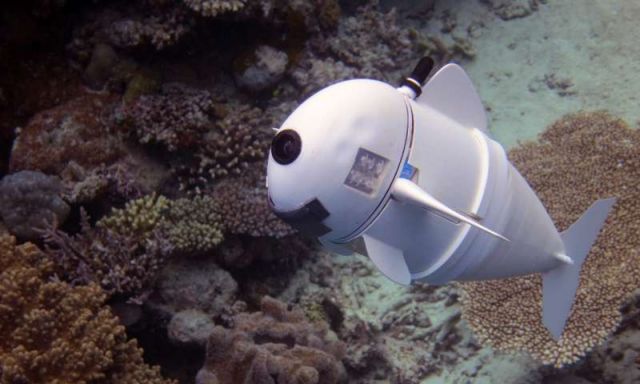 Tο πρώτο ρομποτικό ψάρι που το…ερωτεύονται τα άλλα ψάρια