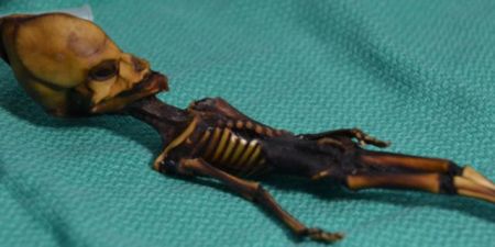 Ανατροπή με τον «εξωγήινο» της χιλιανής ερήμου