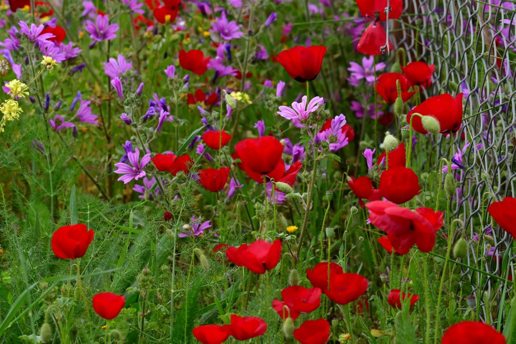 Γιατί Ορθόδοξο και Καθολικό Πάσχα δεν θα συμπέσουν ποτέ ξανά μετά το 2698