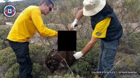 Εισαγγελική παρέμβαση για τις φόλες στον Υμηττό