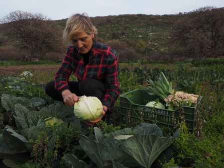 Ερχόμαστε κοντά με τον Άη Στράτη