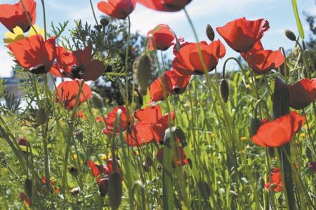 Υψιστη τιμή για τον έλληνα πρωθυπουργό