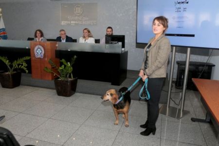 Η «Μαργαρίτα» διδάσκει κυκλοφοριακή αγωγή