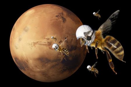H NASA θα στείλει ρομπομέλισσες στον Αρη