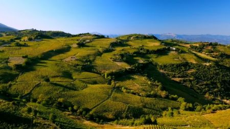 Ντοκιμαντέρ: Η διαδρομή στον ελληνικό αμπελώνα… αλλιώς!