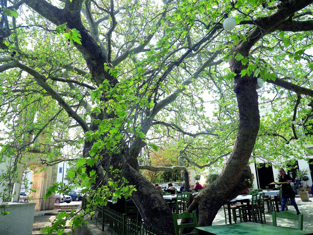 Επιβίβαση για τα Κύθηρα