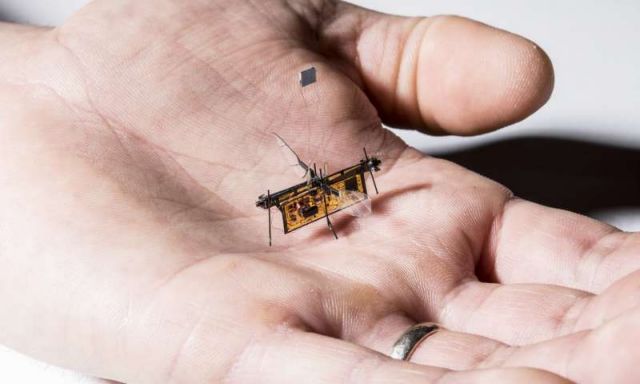 Πέταξε το Robofly, το πρώτο ασύρματο ρομποτικό έντομο | tovima.gr