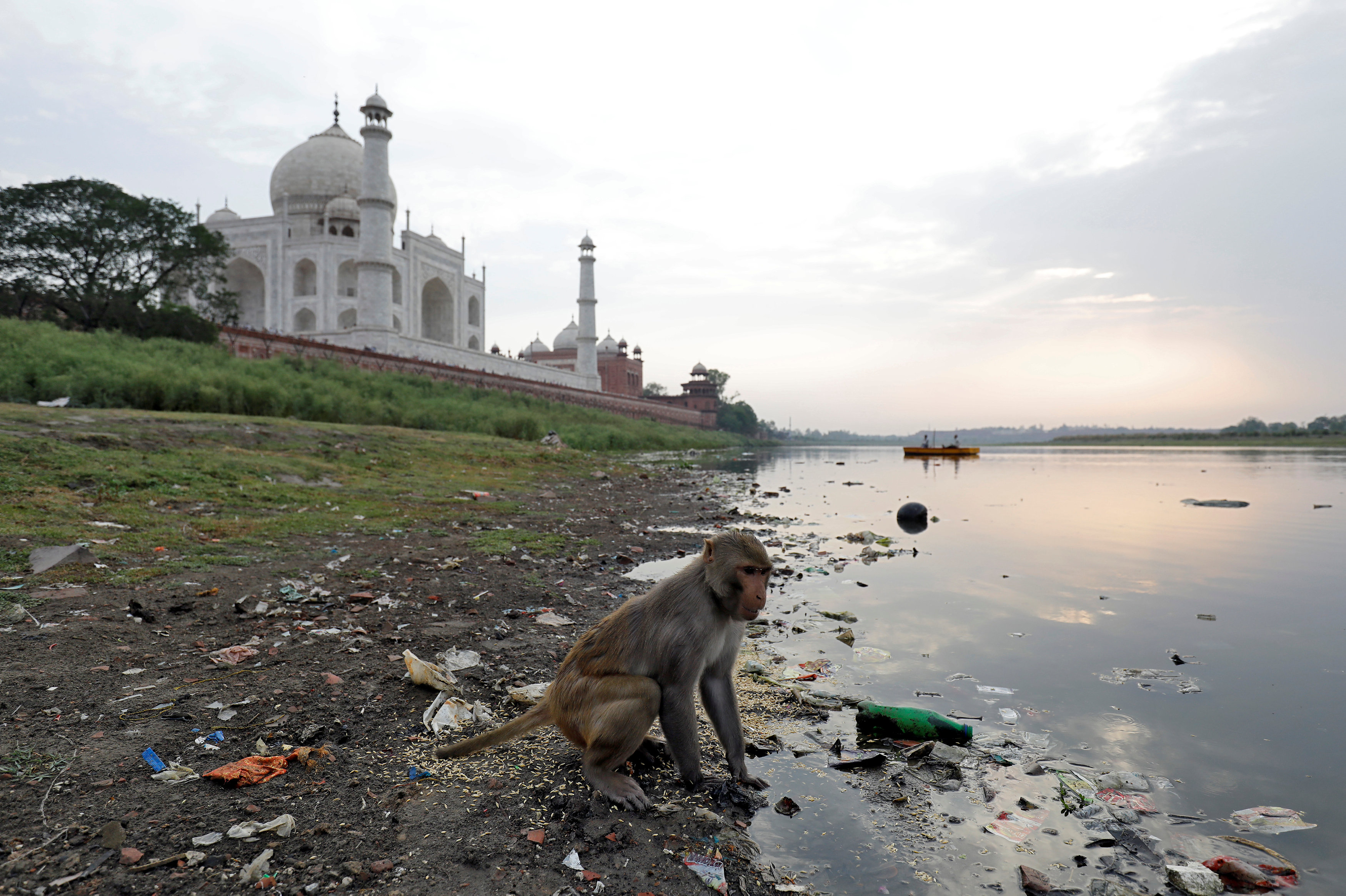 Ινδία: Η ατμοσφαιρική ρύπανση καταστρέφει το Ταζ Μαχάλ