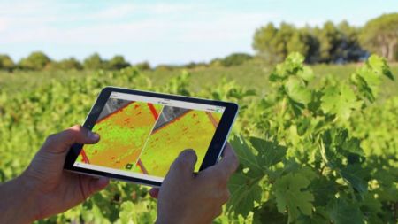 Η ψηφιακή γεωργία άνοιξε νέους δρόμους
