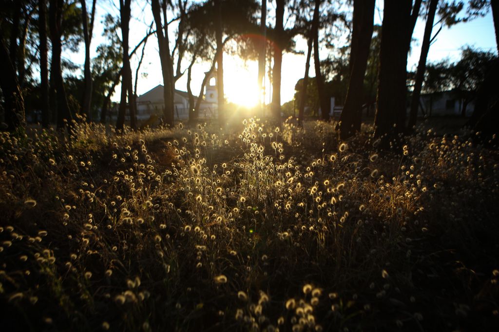 Σταδιακή άνοδος της θερμοκρασίας από το βράδυ της Παρασκευής