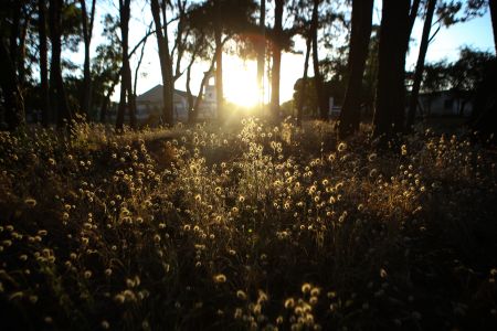 Σταδιακή άνοδος της θερμοκρασίας από το βράδυ της Παρασκευής