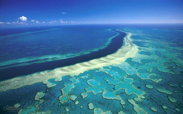 O Μεγάλος Κοραλλιογενής Ύφαλος πεθαίνει από τις κλιματικές αλλαγές