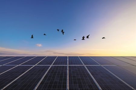 Εργα «πράσινης» ενέργειας σε 5 ηπείρους από τη MYTILINEOS