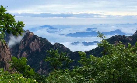 Κίνα: Drones στην υπηρεσία εντοπισμού άρρωστων πεύκων