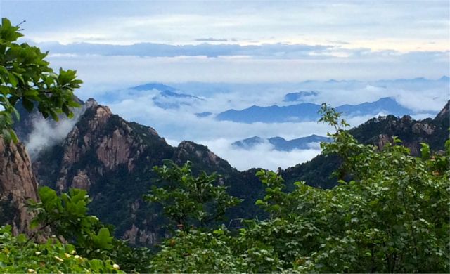 Κίνα: Drones στην υπηρεσία εντοπισμού άρρωστων πεύκων