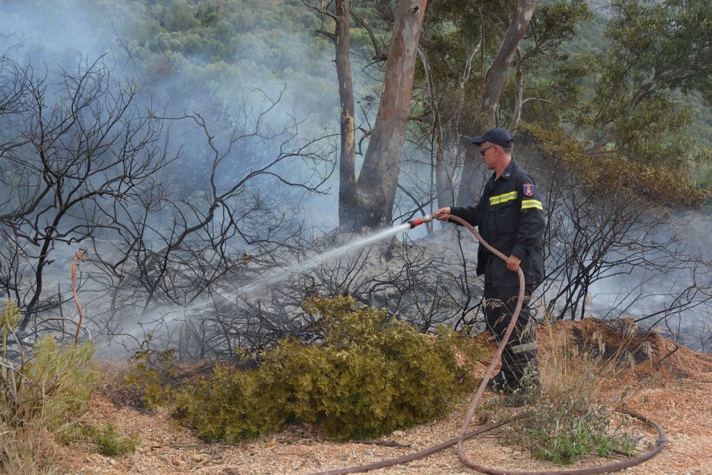 Πυρκαγιές σε δασικές εκτάσεις σε Βοιωτία και Αγρίνιο