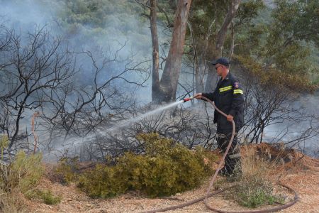 Πυρκαγιές σε δασικές εκτάσεις σε Βοιωτία και Αγρίνιο