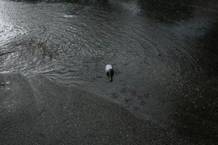 «Χτύπησε» την Αττική η κακοκαιρία – Μικρά προβλήματα στους δρόμους