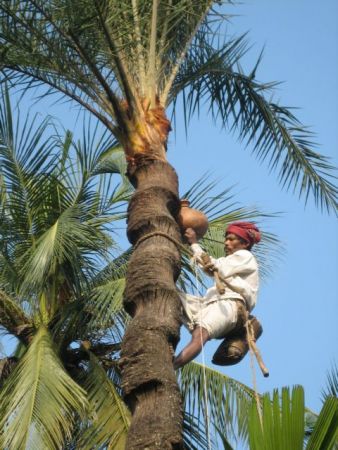Επικίνδυνος ιός στον ορίζοντα
