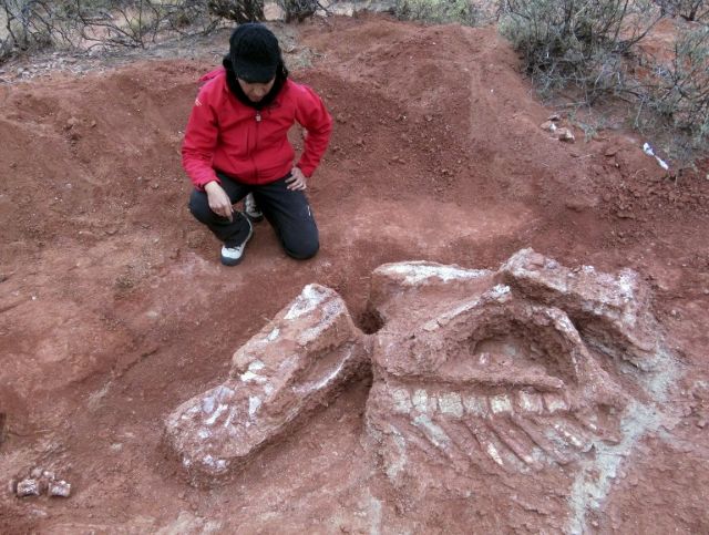 Αργεντινή: Ανακαλύφθηκε γιγαντιαίος δεινόσαυρος ηλικίας άνω των 200 εκατ. ετών