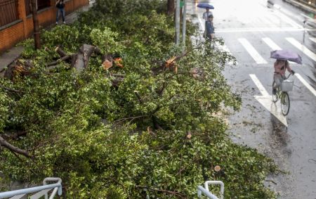 Πουέρτο Ρίκο – τυφώνας: Διαφορετικός ο αριθμός των επίσημων από τον πραγματικό αριθμό των θυμάτων