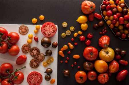Τα είδη της ντομάτας