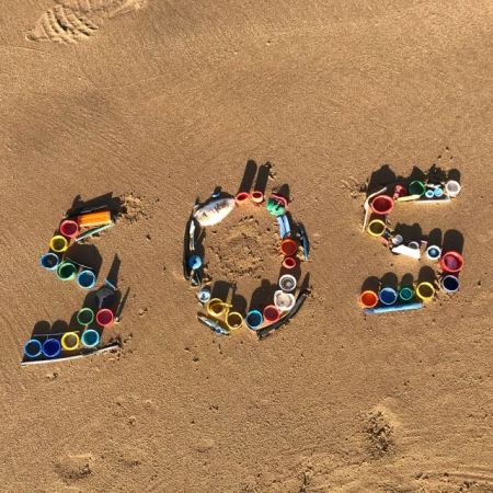 Χημικά των πλαστικών επηρεάζουν τον εγκέφαλο των εμβρύων