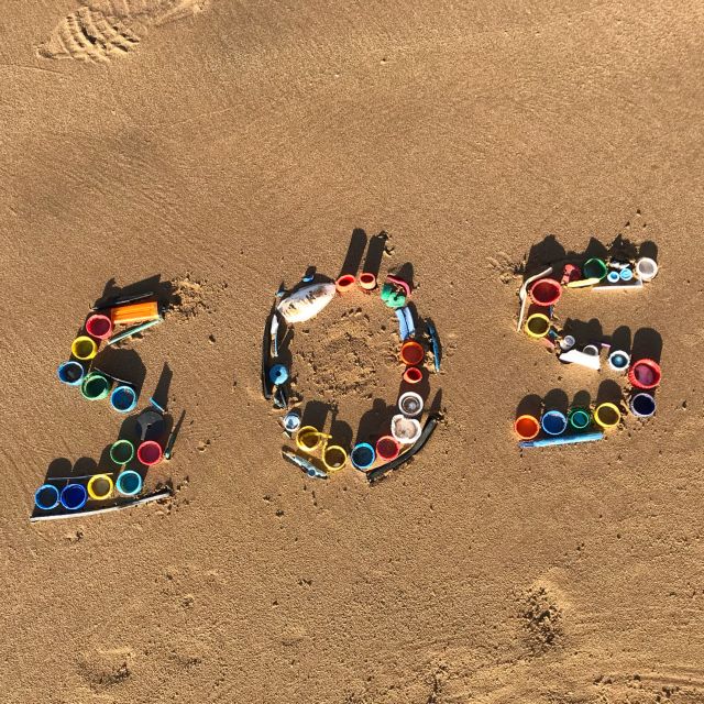 Χημικά των πλαστικών επηρεάζουν τον εγκέφαλο των εμβρύων