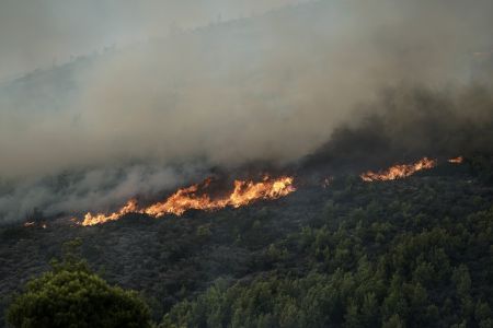 Υπό μερικό έλεγχο οι φωτιές στην Ζάκυνθο