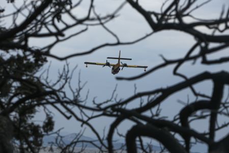 Βούτσης: Διάσκεψη των Προέδρων της Βουλής την Τετάρτη για τις πυρκαγιές