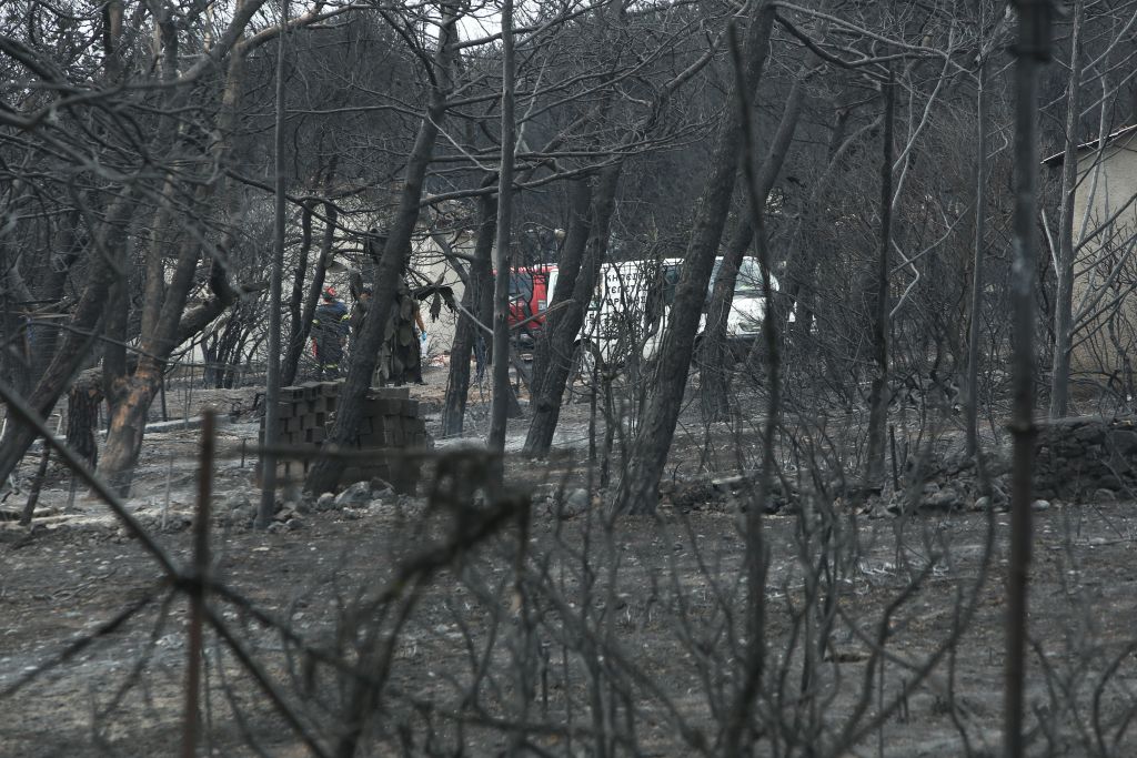 Ευθύμιος Λέκκας: Μάνδρα – Ραφήνα οι ίδιες περιπτώσεις πολεοδομικής αυθαιρεσίας