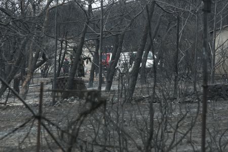 Ευθύμιος Λέκκας: Μάνδρα – Ραφήνα οι ίδιες περιπτώσεις πολεοδομικής αυθαιρεσίας