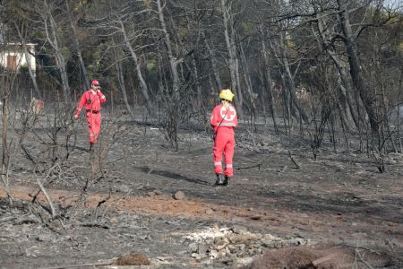Ιατροδικαστής για Μάτι: Οι 26 στο οικόπεδο του θανάτου εξαϋλώθηκαν
