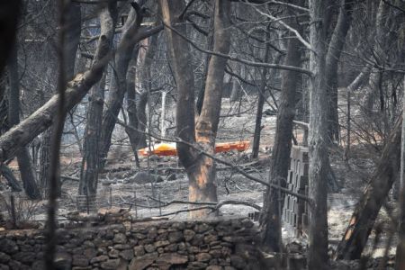 Δήμαρχος Ραφήνας :  Δεν υπήρξε οργανωμένο σχέδιο εκκένωσης στο Μάτι