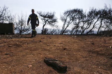 Ραφήνα – Μάτι: Ταυτοποιούν τους νεκρούς της πυρκαγιάς με DNA