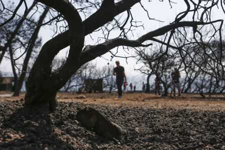 ΟΗΕ: Συλλυπητήρια στους συγγενείς των θυμάτων της πολύνεκρης πυρκαγιάς