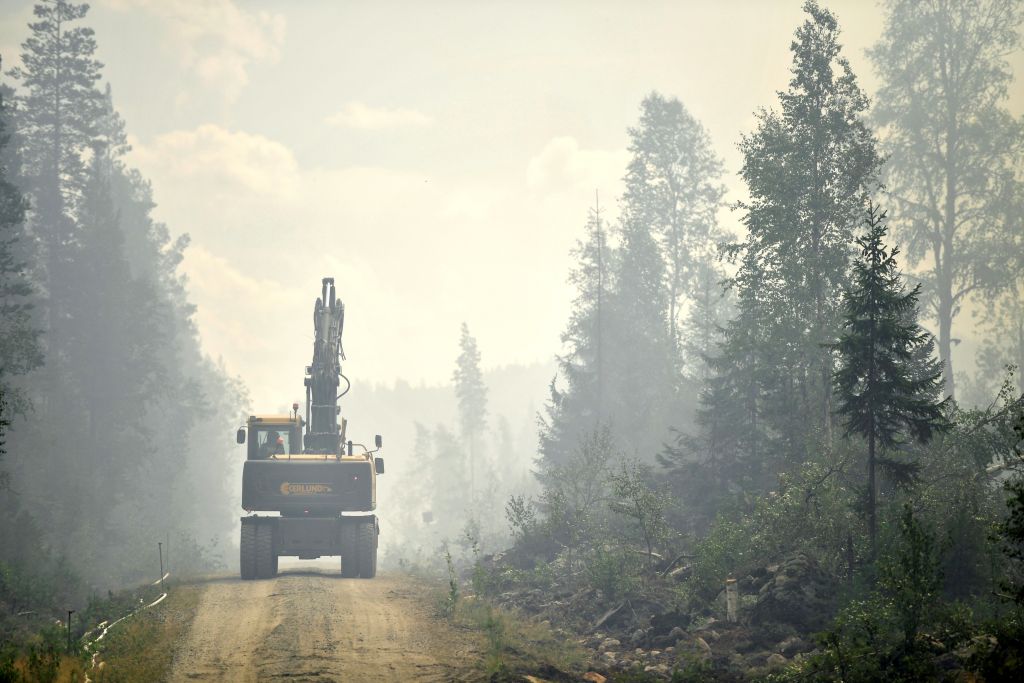 Βερολίνο: Δίπλα σε Ελλάδα, Σουηδία, Λετονία μετά τις πυρκαγιές