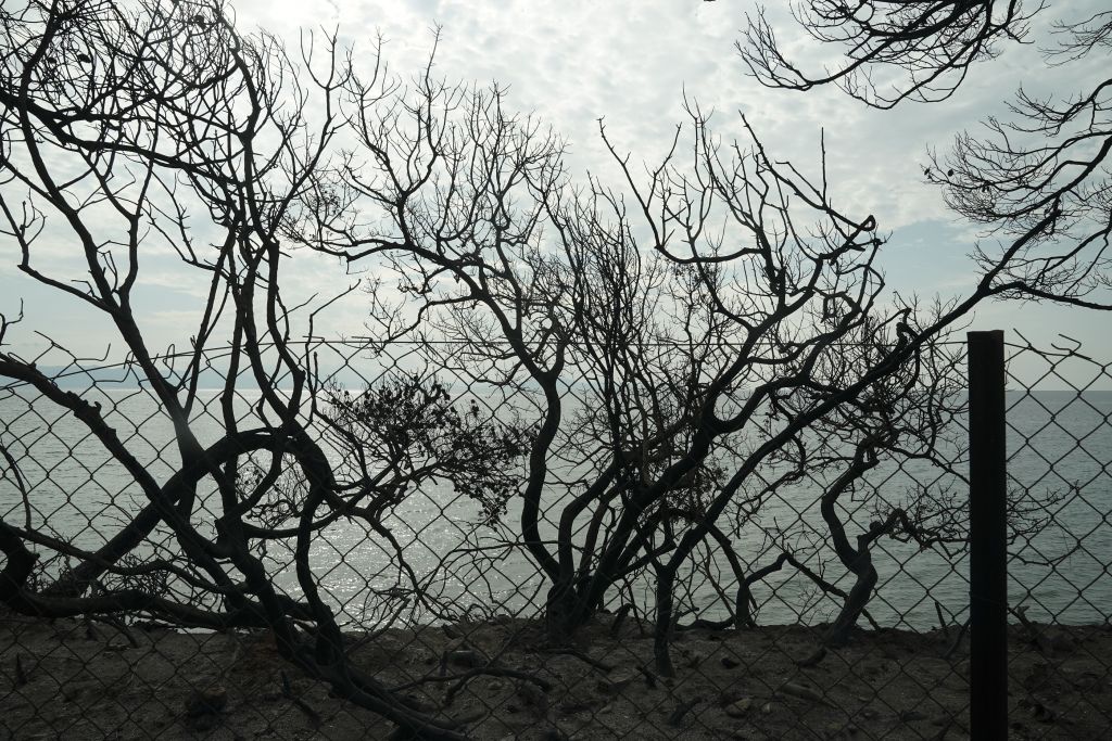 ΝΔ: Ζητούμε απαντήσεις από την κυβέρνηση και όχι να κατασκευάζει εχθρούς